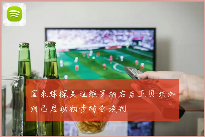国米球探关注维罗纳右后卫贝尔加利已启动初步转会谈判
