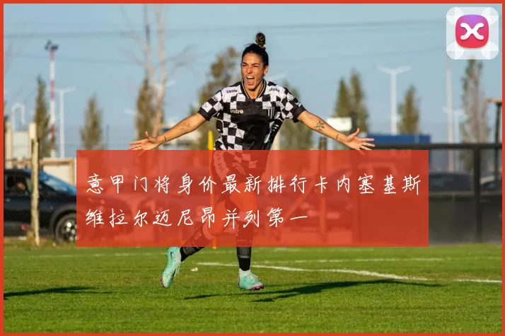 意甲门将身价最新排行卡内塞基斯维拉尔迈尼昂并列第一